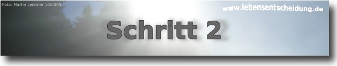 Bild: Nebel hindert das Licht durchzustrahlen.